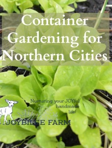 plant growing in a Container s one solution to the problem of rising food costs and the need for access to fresh food in the food desert of most cities. But the further North you go, the harder it is to actually be successful on a small lot or on the balcony of an apartment.