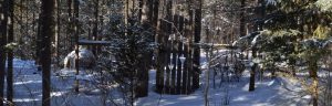 Garden gate surrounded by snow