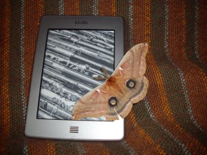March 29th Book Club