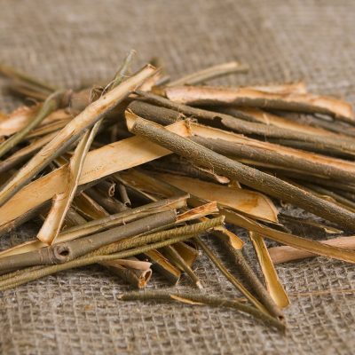 Harvesting Willow Bark for Herbal Remedies