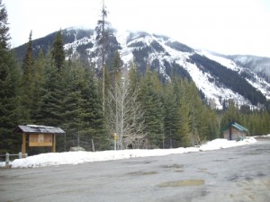 Wool drive 1