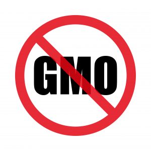 genetically modified ingredients