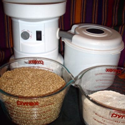 What’s with my bread?  Basic principles of working with Wheat Flour