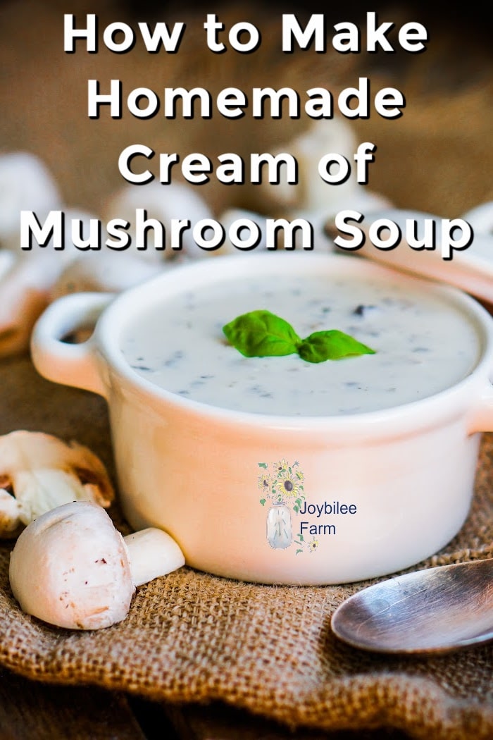 Homemade Cream of Mushroom Soup