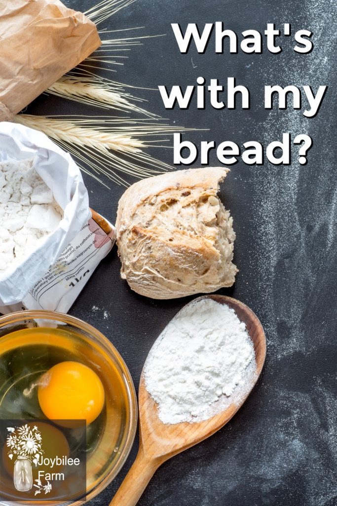 ingredients for bread