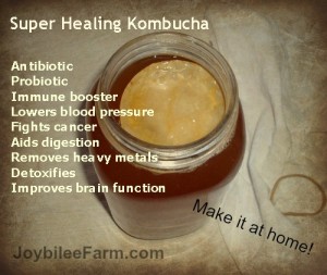 You need Kombucha for health