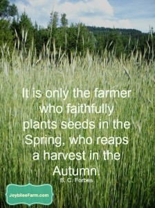 Sowing and Reaping