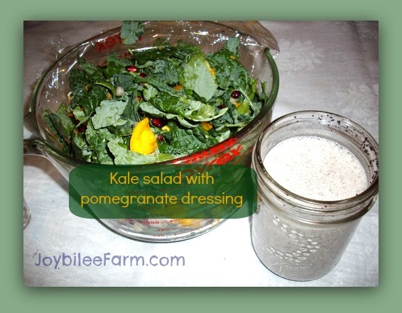 kale salada