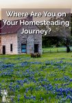Old farmhouse in a field of blue wildflowers.