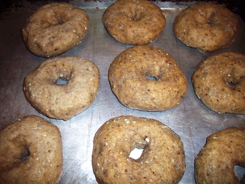 Bagels after boiling