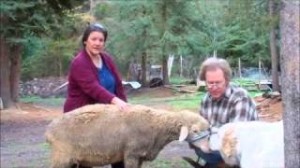 Video 2: Beef, Pork, and Lamb: How to cook different cuts of meat