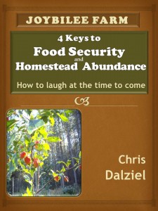 Food Security and Homestead Abundance Final