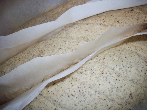 Use these bread baking tips from Grandma and learn how to bake better bread with the perfect rise, chewy, golden crusts, and pillow-y soft crumb.