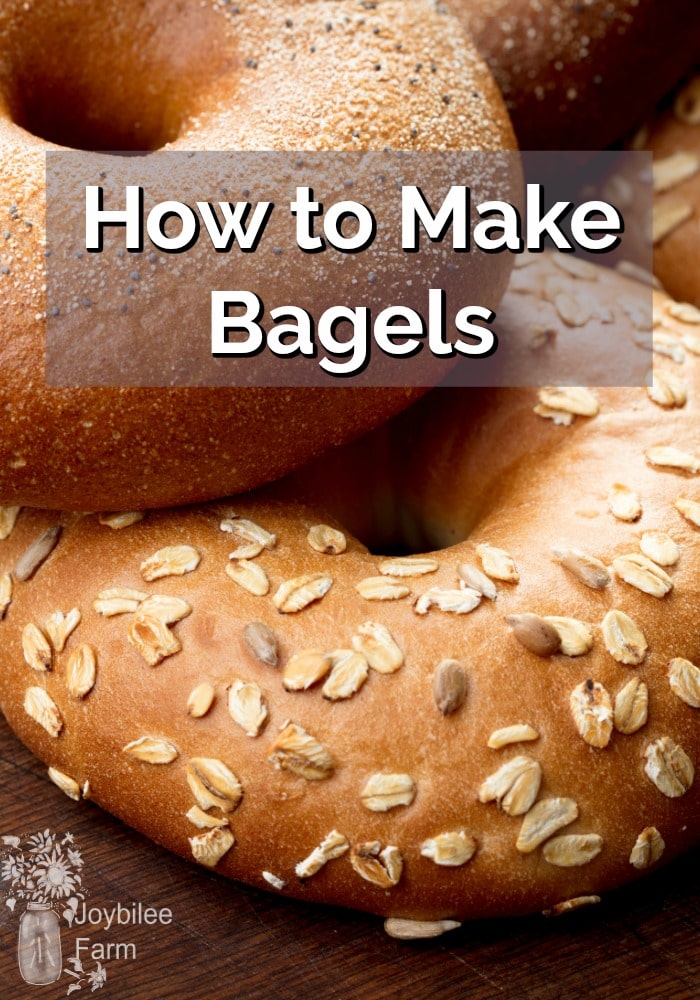 A close up of multigrain and seeded bagels