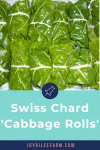 Gorgeous green Swiss chard stuffed rolls