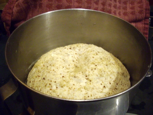 bread dough in bowl