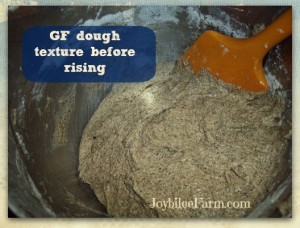 GF bread dough before rising