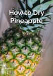 A pineapple
