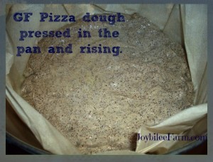 Pizza dough