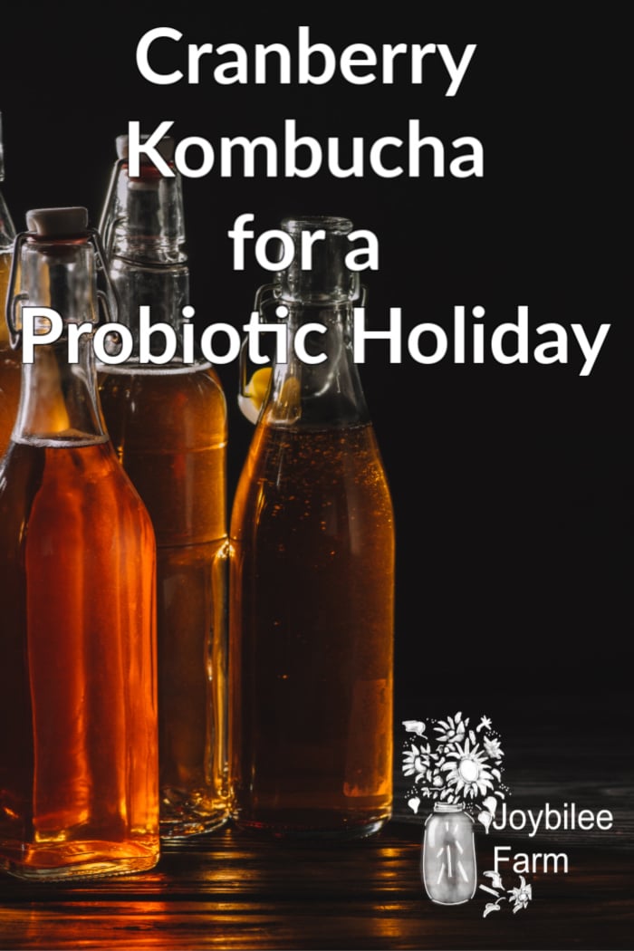 bottles of kombucha on a dark background .