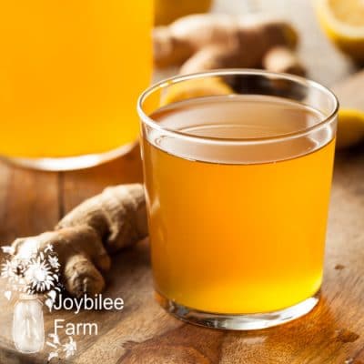Cranberry Kombucha for a probiotic Holiday