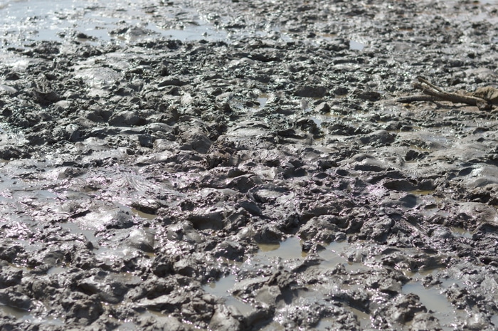Dead Sea mud at Kalia Beach, Israel