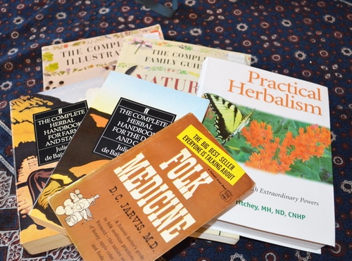 herbal remedy books