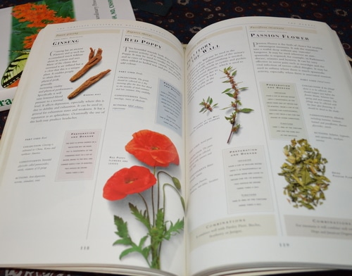 herbal remedy book