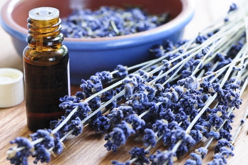 This MRSA natural cure is easy to use at home, without antibiotics, using herbs, essential oil, and other natural remedies that you might already have at home. These 10 natural remedies will give you the best chance to stop a MRSA infection so you can get back to doing the things you love.