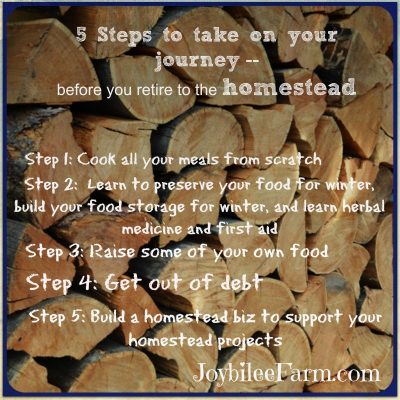 Don’t wait till you retire to begin to live  your homestead dreams, part 2 of 3