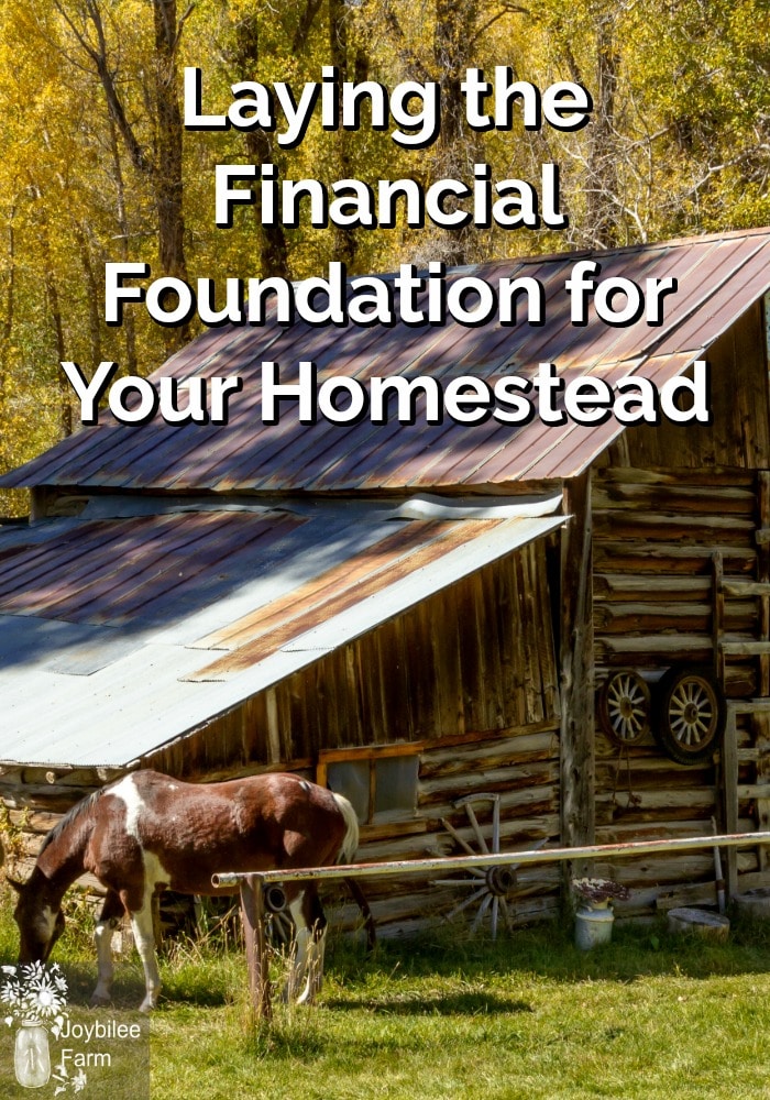 Homestead house with a horse standing nearby