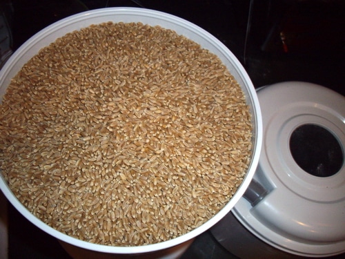 Milling wheat