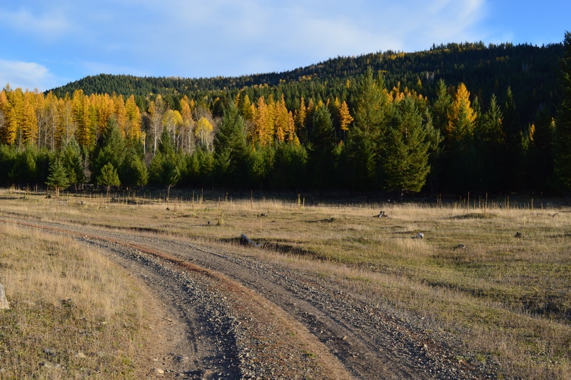 Road on the property