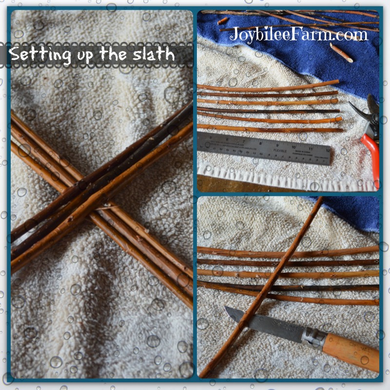 Willow basket weaving in progress - the slath
