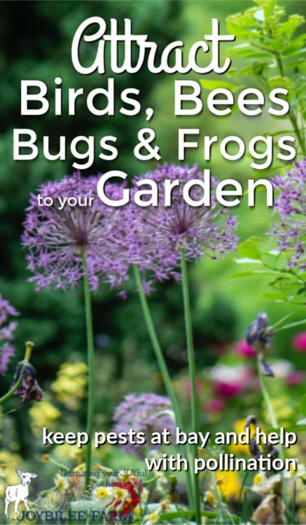 wildlife garden