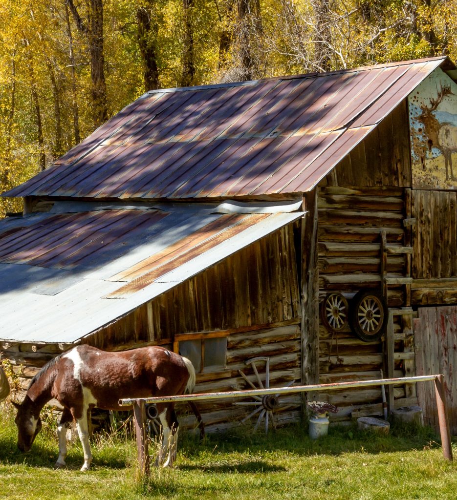 Old homestead with a horse grazing in front