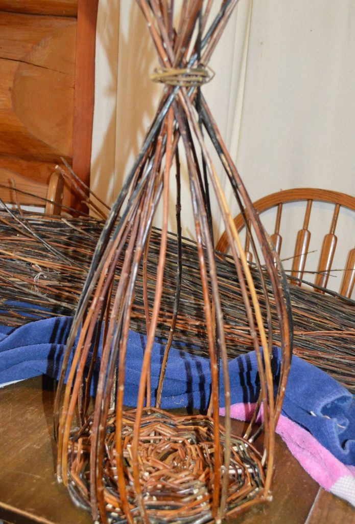 Willow basket weaving - upsett stage