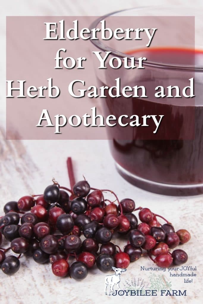 Fresh elderberries and a glass of elderberry syrup