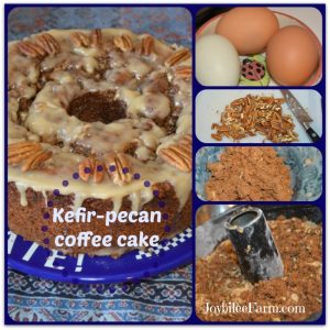 Kefir Pecan Streusel Coffee Cake and collage of ingredients - eggs, pecans, flour. 