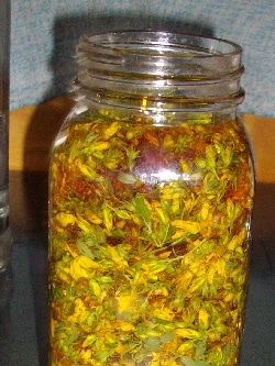 st johns wort oil
