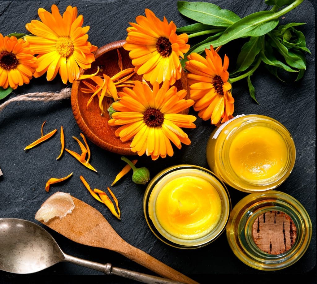 Make a Basic Herbal Ointment for Your First Aid Kit