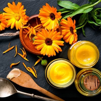 Make a Basic Herbal Ointment