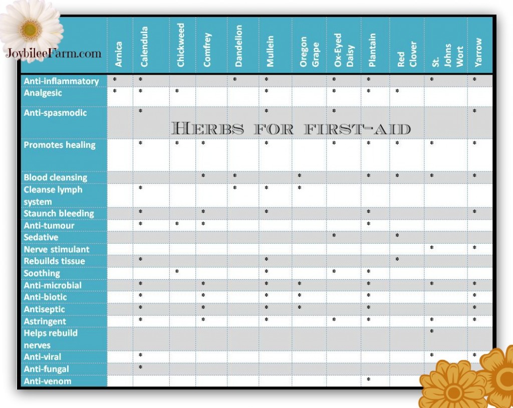 herbal chart for skin ointment