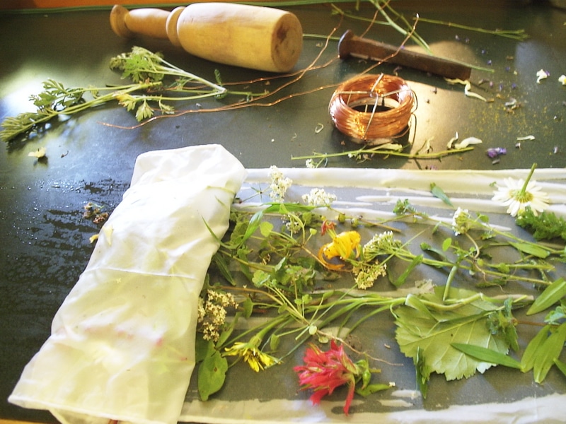 Making natural ink and dyes is all about playing around with colours. The process of taking plants and turning them into colour is wonderfully versatile, fun to work with, and is environmentally sound. 
