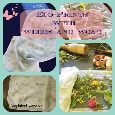 Contact Dyeing Eco-Prints