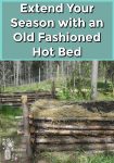 A raised garden bed