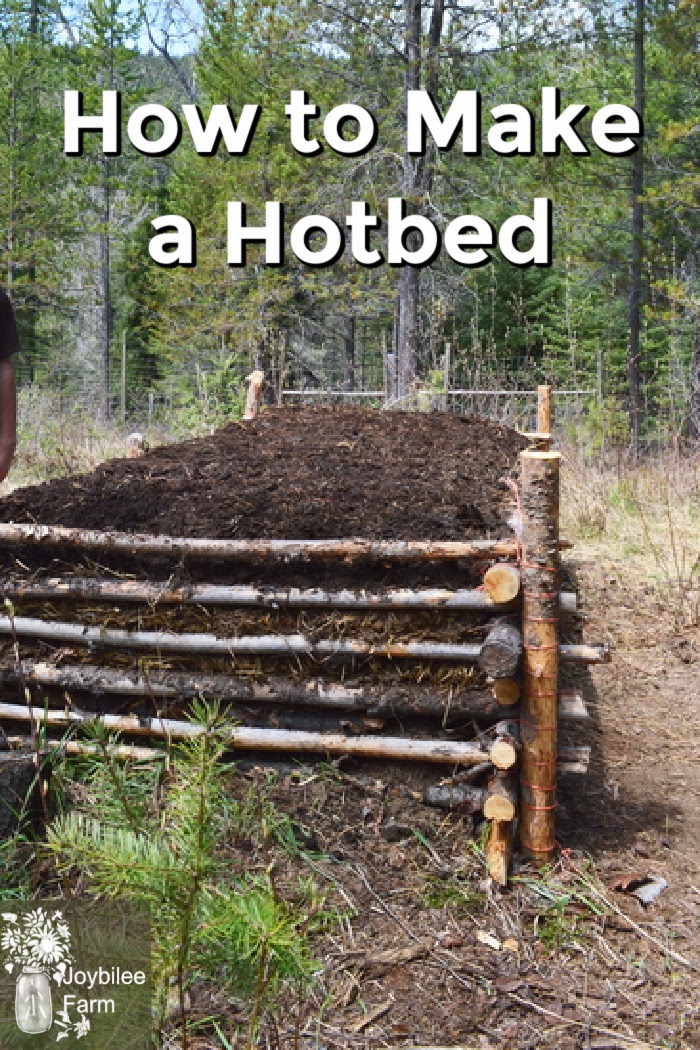 hotbed
