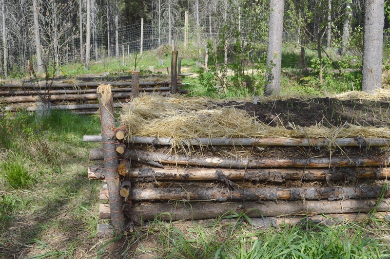 Hugelkultur forest gardening 2