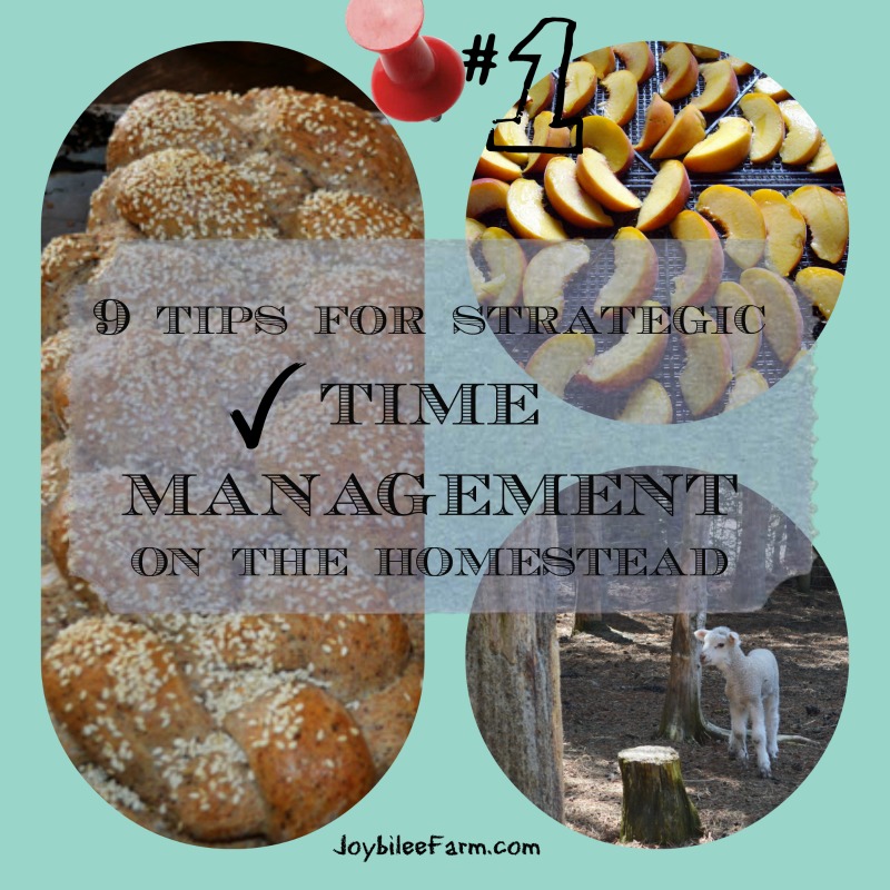 Photo collage for Time Management - fresh baked bread, lamb and preserving food.