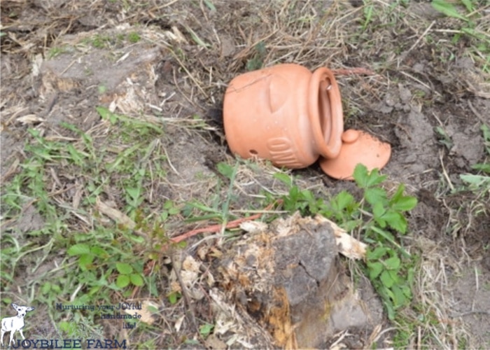 terra cotta pot in t he garden used for a frog house